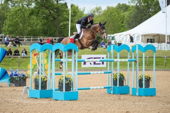 Trevor Breen lands the feature two-star Grand Prix at Wellington Riding International with Gonzalo